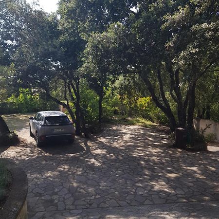 Maison Au Calme Castillon-du-Gard Dış mekan fotoğraf